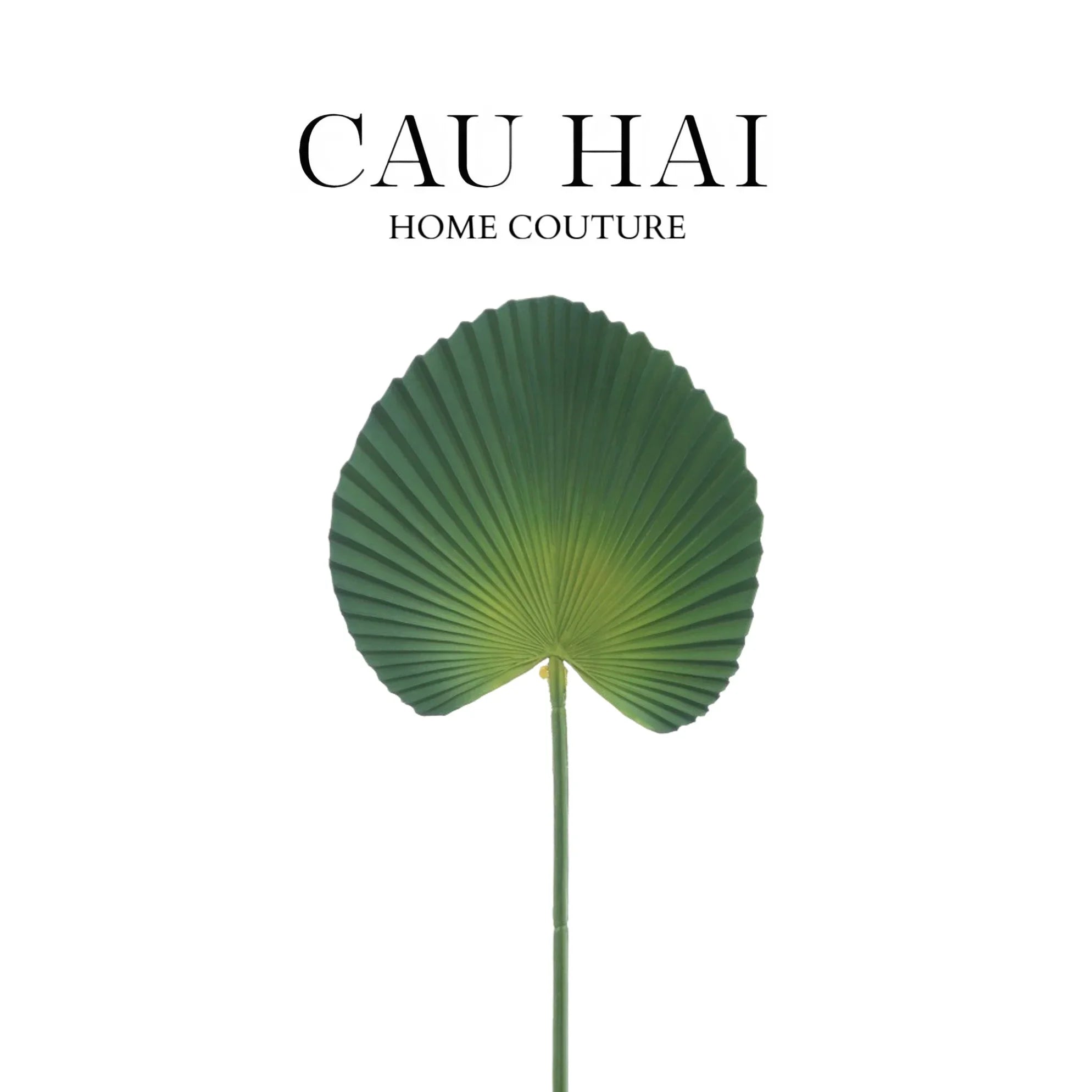 Lá Cây Cọ Licuala Orbicularis-CẬU HAI HOME DECOR