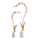 Maison Couture - Set 2 Tượng Hoa Hồng Gốm Sứ Roseraie Blanche D'Or 2pcs - Cậu Hai Home Decor