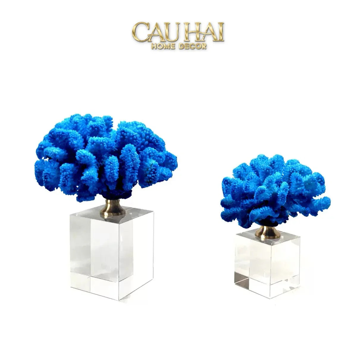 Maison Couture - Set 2 Tượng San Hô Đế Pha Lê Azure Tidal Aether Coral-CẬU HAI HOME DECOR