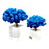 Maison Couture - Set 2 Tượng San Hô Đế Pha Lê Azure Tidal Aether Coral