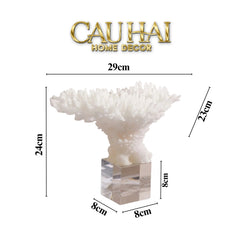 Maison Couture - Tượng San Hô Blanc De Mer Coral D'Ivoire-CẬU HAI HOME DECOR