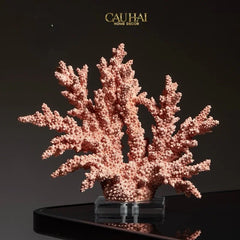 Maison Couture - Tượng San Hô Vương Miện Couronne Ashen Terra Cristalleries Coral Sculptures 34x12x30-CẬU HAI HOME DECOR