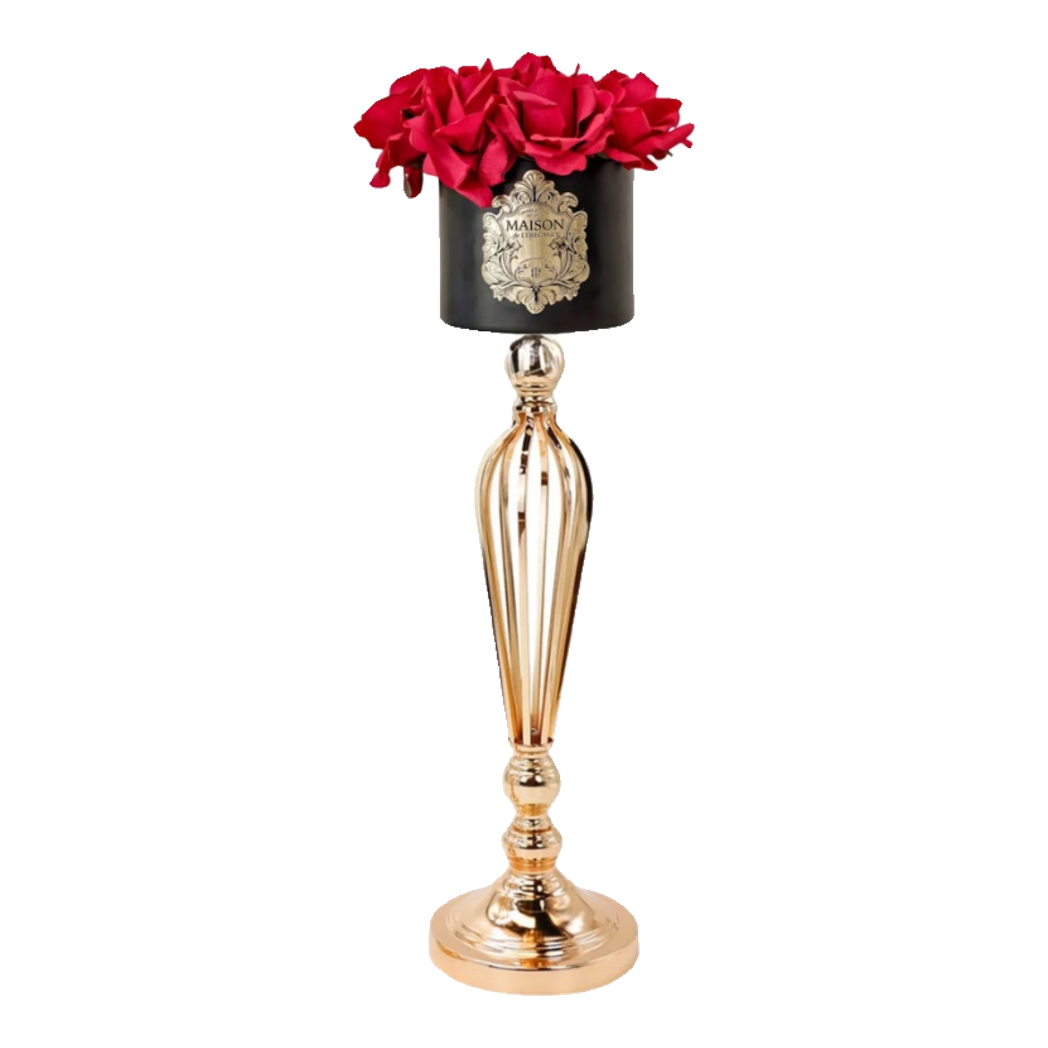 Maison Du Rose 15 - Chậu Hoa Hồng Versailles Grande H59