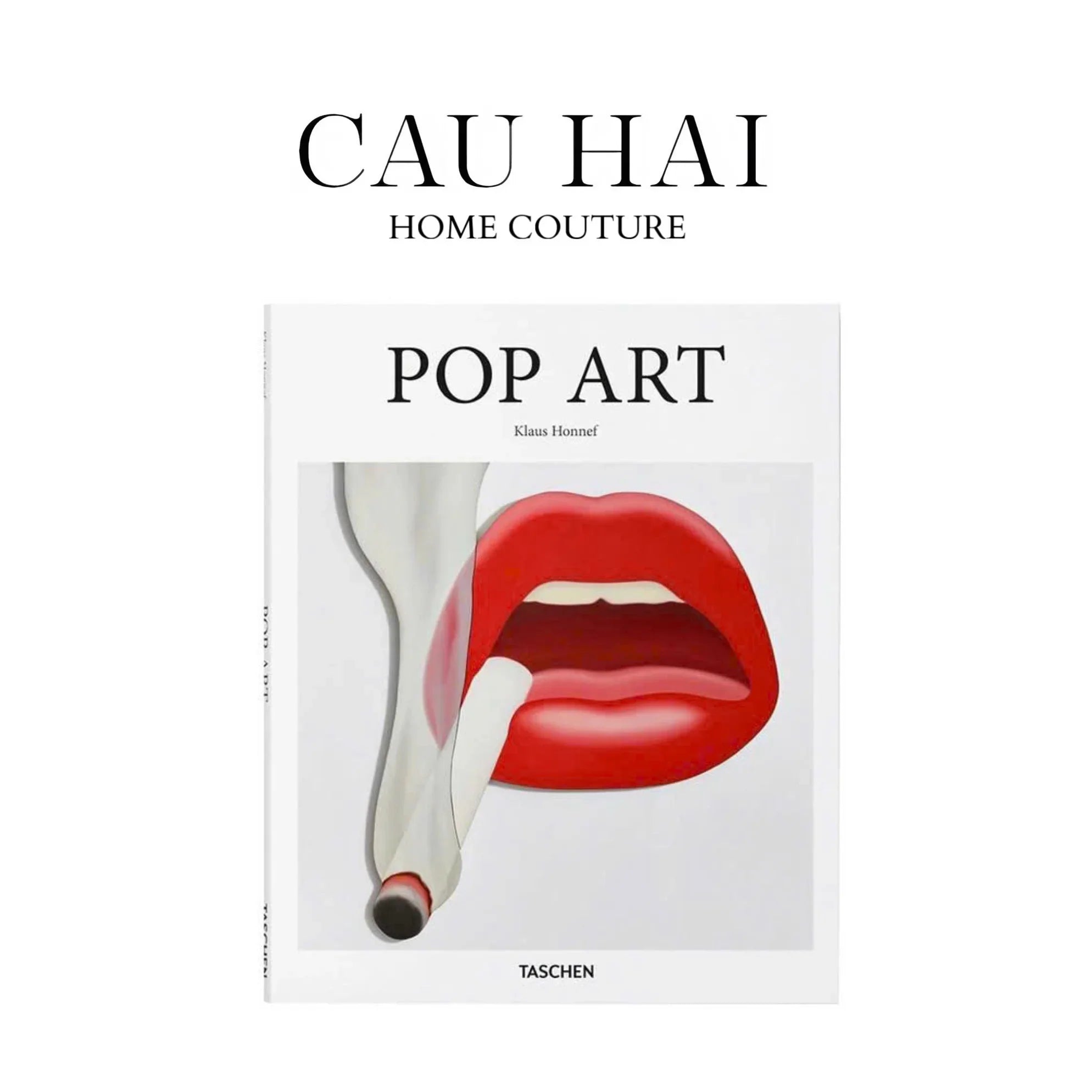 SÁCH POP ART-CẬU HAI HOME DECOR