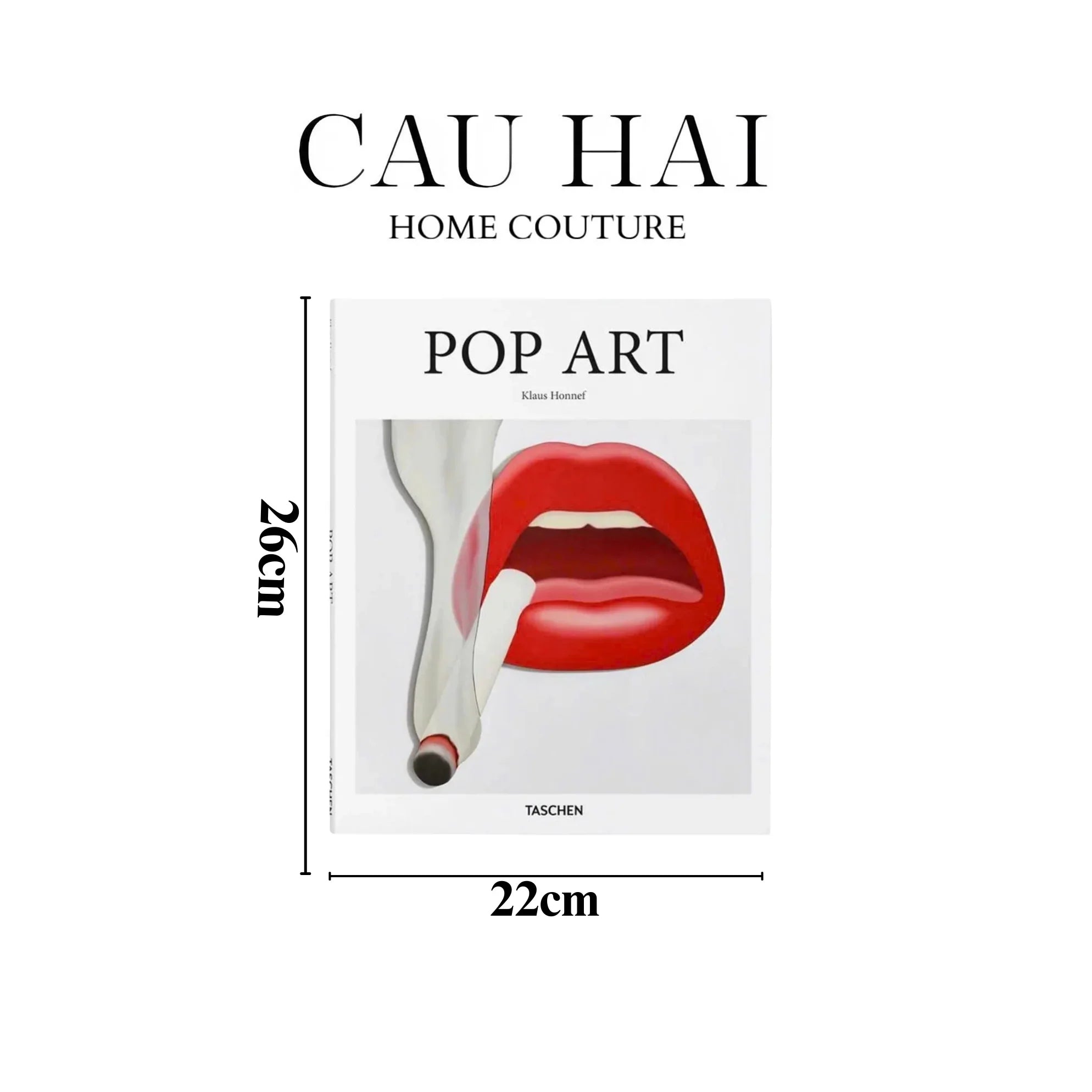 SÁCH POP ART-CẬU HAI HOME DECOR