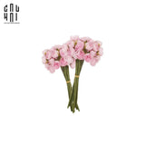 SET 2 BÓ HOA MẪU ĐƠN MINI - HỒNG-CẬU HAI HOME DECOR