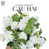 Set 2 Cành Cẩm Tú Cầu Mini - Trắng - CẬU HAI HOME DECOR