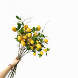 Set 2 Cành Chanh Vàng Cirtron-Cành hoa trang trí-CẬU HAI HOME DECOR-CẬU HAI HOME DECOR