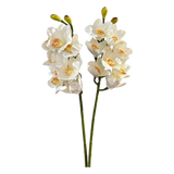 Set 2 Cành Địa Lan Cymbidium-Cành hoa trang trí-CẬU HAI HOME DECOR
