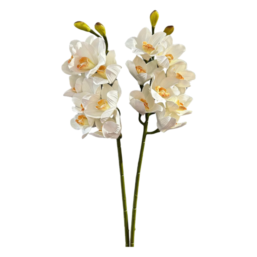 Set 2 Cành Địa Lan Cymbidium-Cành hoa trang trí-CẬU HAI HOME DECOR