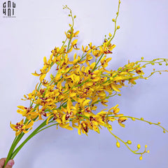 set-2-canh-dia-lan-cymbidium-mini-vang-cau-hai-home-decor-2 - CẬU HAI HOME DECOR