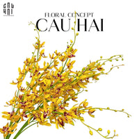 set-2-canh-dia-lan-cymbidium-mini-vang-cau-hai-home-decor - CẬU HAI HOME DECOR