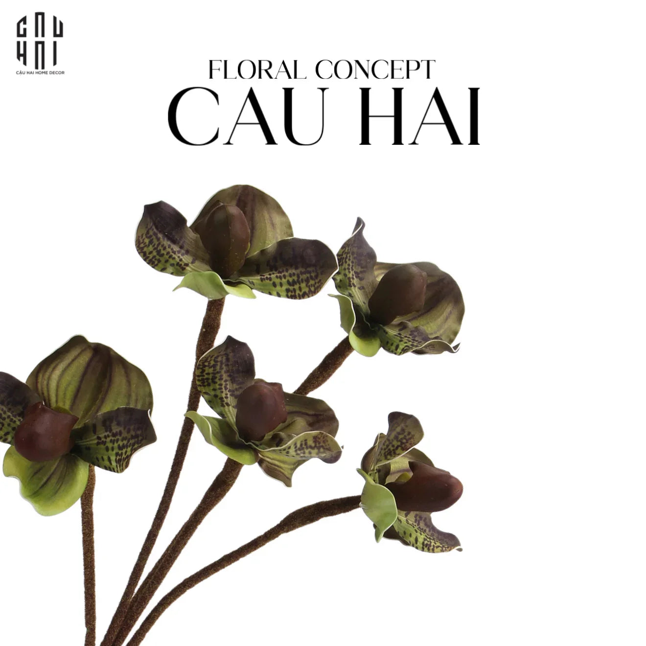 SET 2 CÀNH ĐỊA LAN PAPHIOPEDILUM - VIOLET PLUM-CẬU HAI HOME DECOR