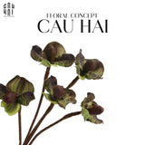Set 2 Cành Địa Lan Paphiopedilum - Violet Plum-Hoa Lụa-CẬU HAI HOME DECOR