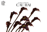 Set 2 Cành Eva Calla Lily Moonstone Blue / Plum Rouge 65Cm - CẬU HAI HOME DECOR