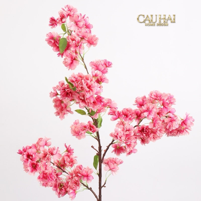 Set 2 Cành Hoa Anh Đào Trắng - White Sakura - CẬU HAI HOME DECOR