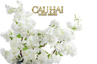 Set 2 Cành Hoa Anh Đào Trắng - White Sakura-CẬU HAI HOME DECOR