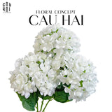 SET 2 CÀNH HOA CẨM TÚ CẦU ĐẠI - TRẮNG-CẬU HAI HOME DECOR