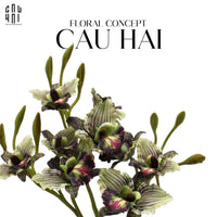 set-2-canh-hoa-dia-lan-green-twilight-cau-hai-home-decor - CẬU HAI HOME DECOR