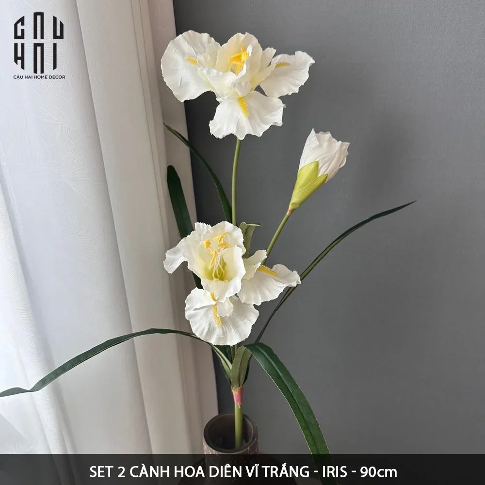 SET 2 CÀNH HOA DIÊN VĨ - IRIS - TRẮNG-CẬU HAI HOME DECOR