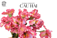Set 2 Cành Hoa Diên Vĩ - Rosy-CẬU HAI HOME DECOR
