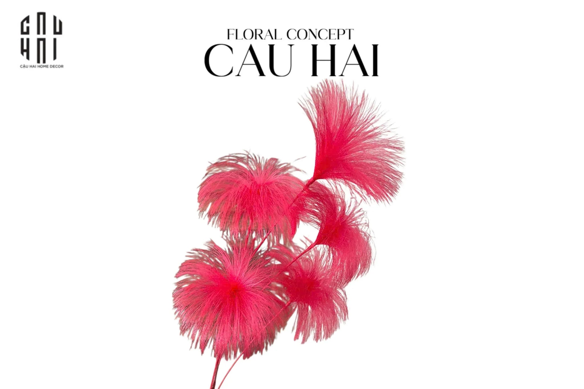 SET 2 CÀNH HOA FIREWORK COLOR POP-CẬU HAI HOME DECOR