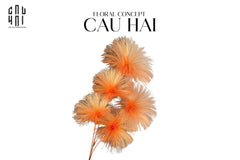 Set 2 Cành Hoa Firework Color Pop-CẬU HAI HOME DECOR