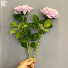 set-2-canh-hoa-hong-ecuador-tim-nhat-cau-hai-home-decor-4 - CẬU HAI HOME DECOR
