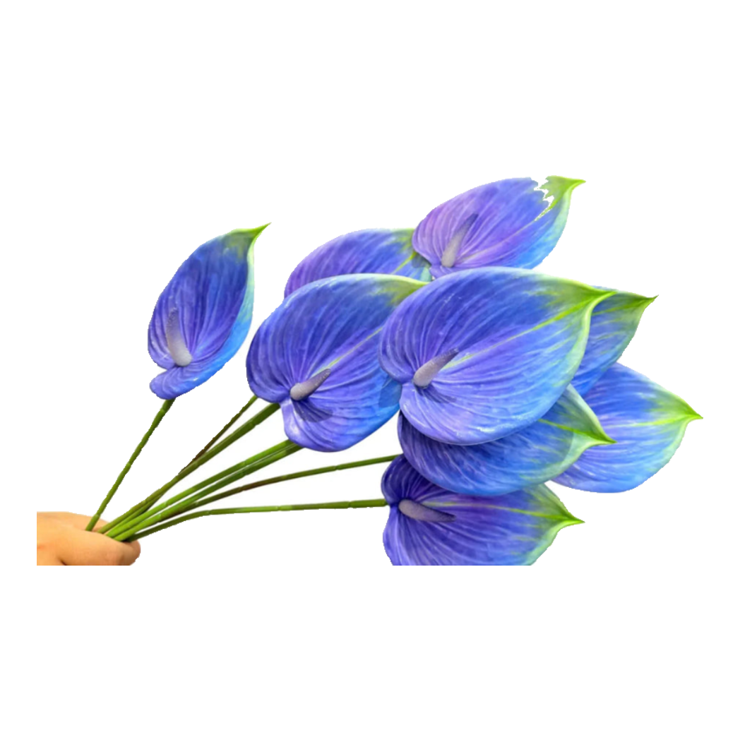 Set 2 Cành Hoa Hồng Môn - Blue Violet