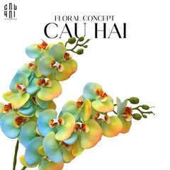 Set 2 Cành Hoa Lan Hồ Điệp - Citrus Turquoise-CẬU HAI HOME DECOR