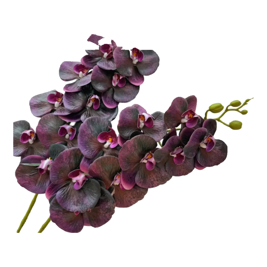 Set 2 Cành Hoa Lan Hồ Điệp - Dark Violet