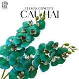 SET 2 CÀNH HOA LAN HỒ ĐIỆP - EMERALD GREENISH-CẬU HAI HOME DECOR