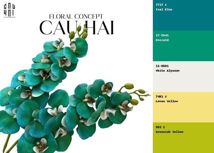 SET 2 CÀNH HOA LAN HỒ ĐIỆP - EMERALD GREENISH-CẬU HAI HOME DECOR