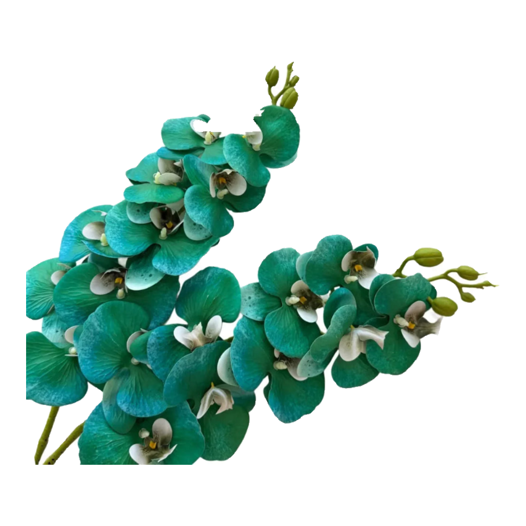 Set 2 Cành Hoa Lan Hồ Điệp - Emerald Greenish