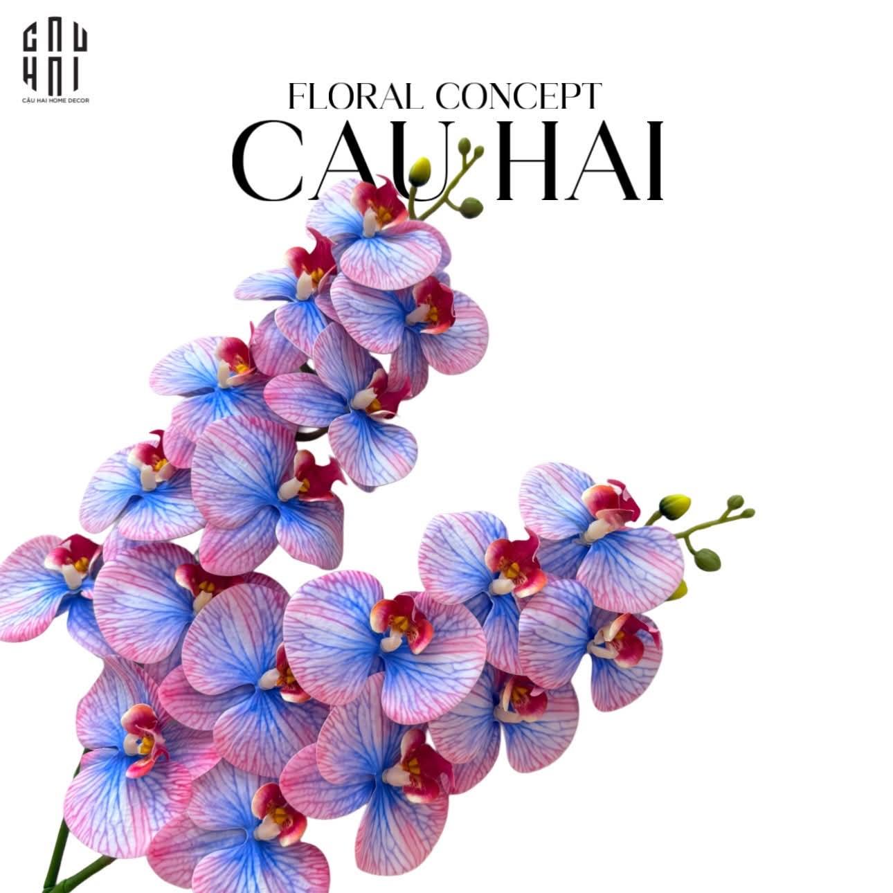 Set 2 Cành Hoa Lan Hồ Điệp - Fuchsia Azure-CẬU HAI HOME DECOR