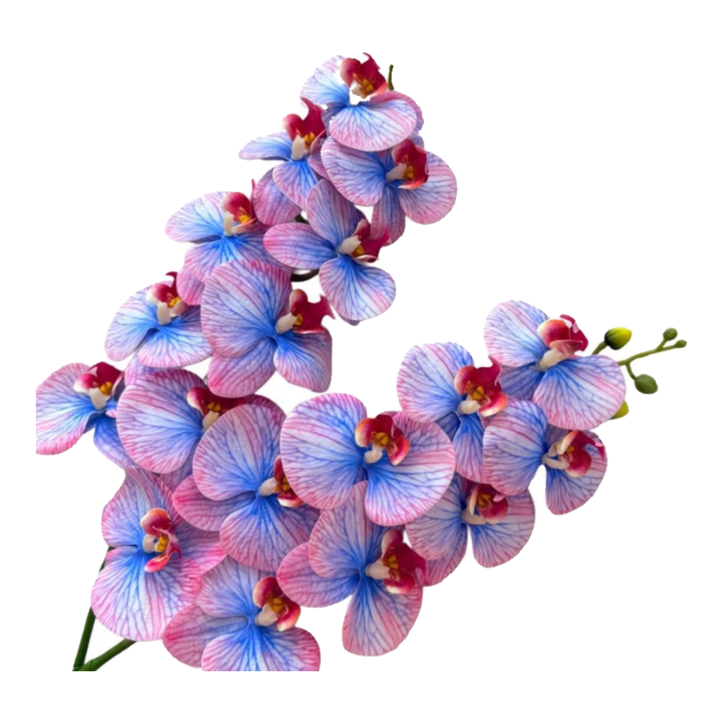Set 2 Cành Hoa Lan Hồ Điệp - Fuchsia Azure