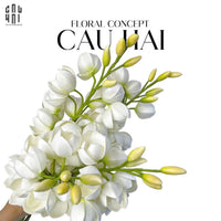 set-2-canh-hoa-lan-yucca-cau-hai-home-decor - CẬU HAI HOME DECOR