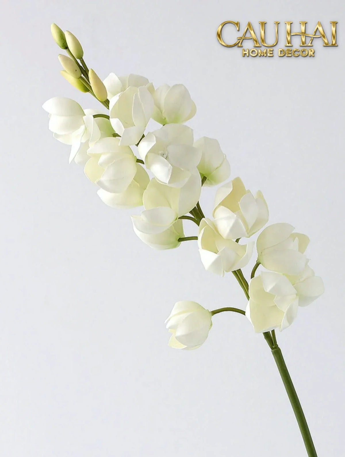 Set 2 Cành Hoa Lan Yucca-Hoa Lụa-Đối tác tại Trung Quốc theo từng đơn đặt hàng-CẬU HAI HOME DECOR