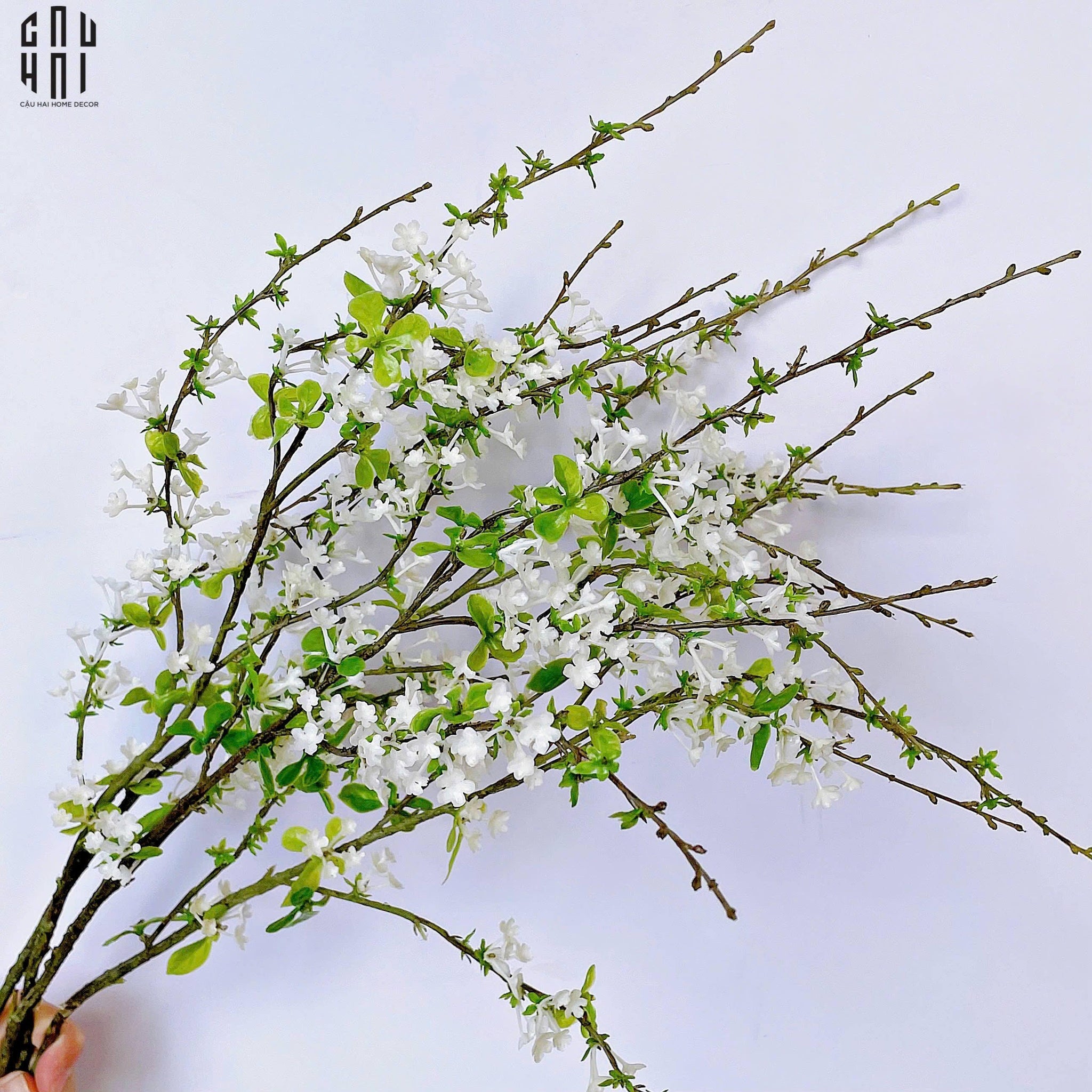 SET 2 CÀNH HOA MẬN-CẬU HAI HOME DECOR