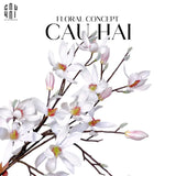 SET 2 CÀNH HOA MỘC LAN - MAGNOLIA FRASERI-CẬU HAI HOME DECOR