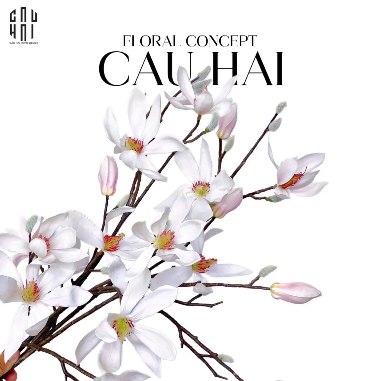 SET 2 CÀNH HOA MỘC LAN - MAGNOLIA FRASERI-CẬU HAI HOME DECOR