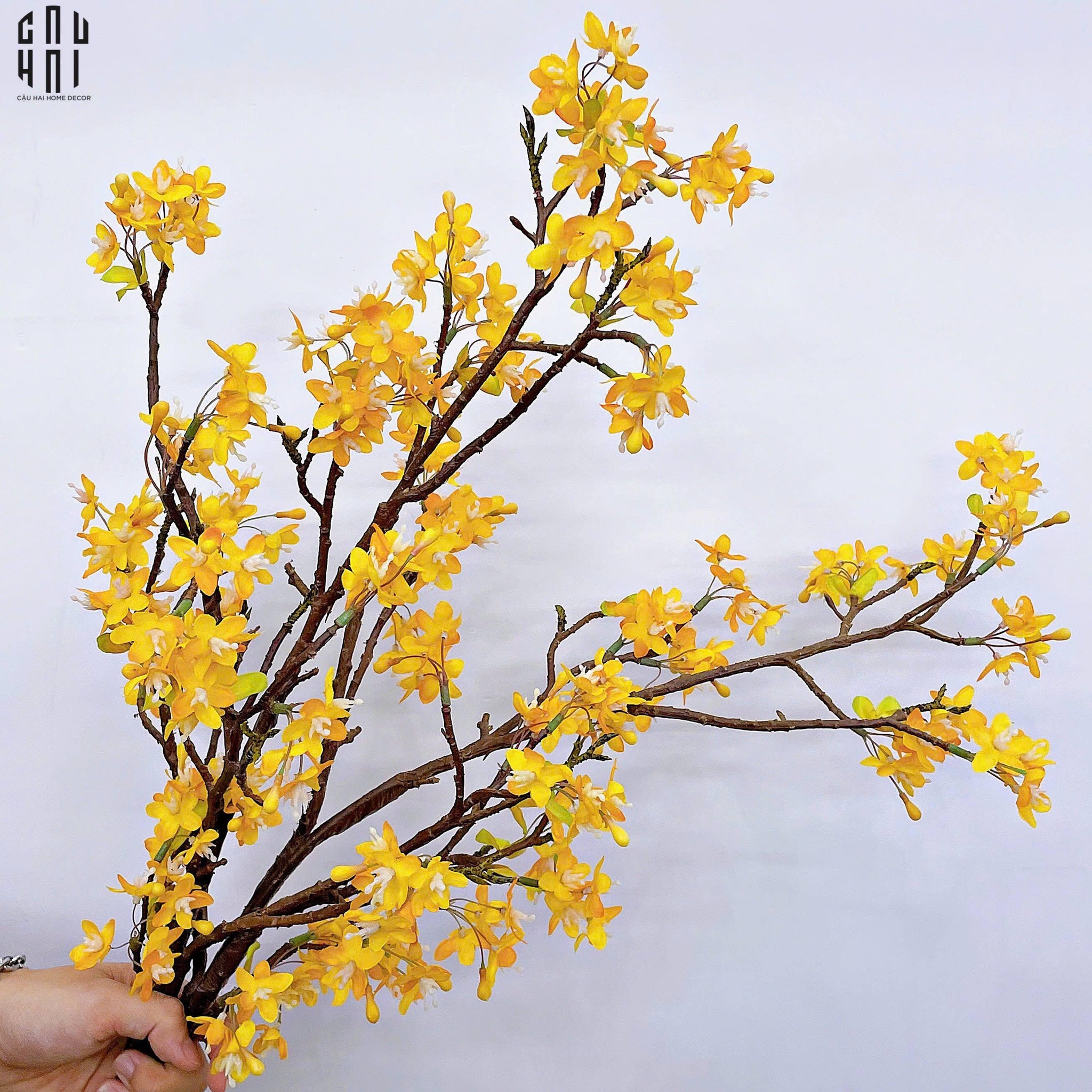 SET 2 CÀNH HOA NHÀI FORSYTHIA-CẬU HAI HOME DECOR