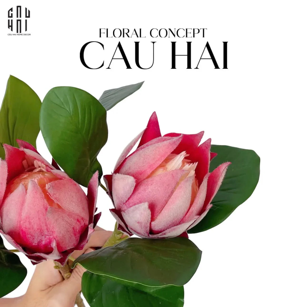SET 2 CÀNH HOA PROTEA-CẬU HAI HOME DECOR