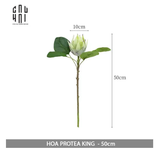 SET 2 CÀNH HOA PROTEA-CẬU HAI HOME DECOR