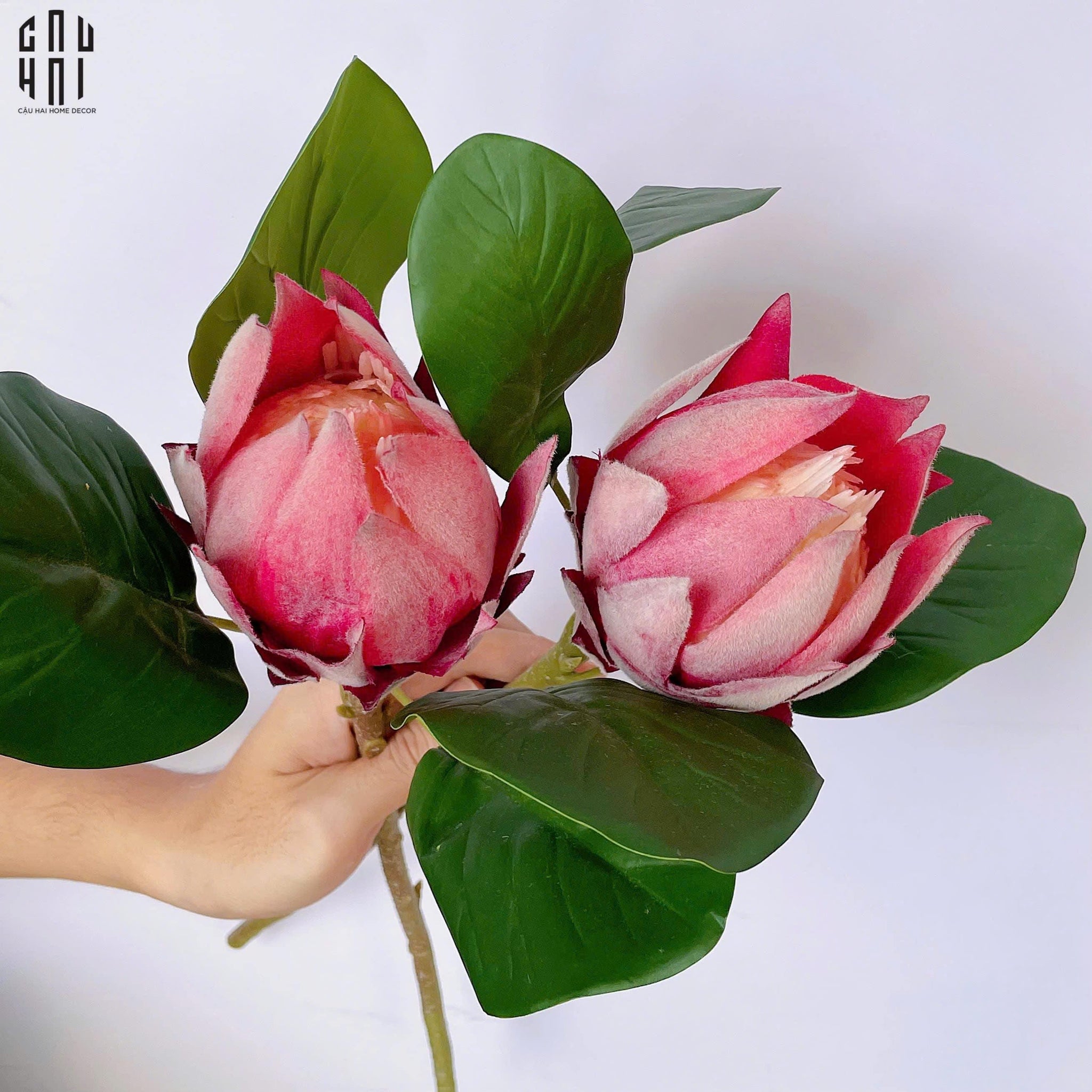 SET 2 CÀNH HOA PROTEA-CẬU HAI HOME DECOR