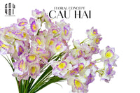 Set 2 Cành Hoa Thuỷ Tiên - Trắng Violet-CẬU HAI HOME DECOR