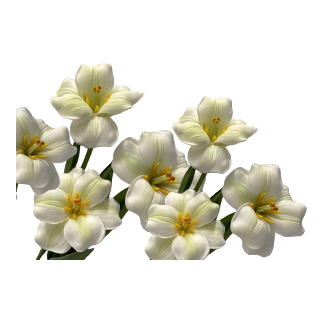 Set 2 Cành Hoa Tulip Blooming - White Green
