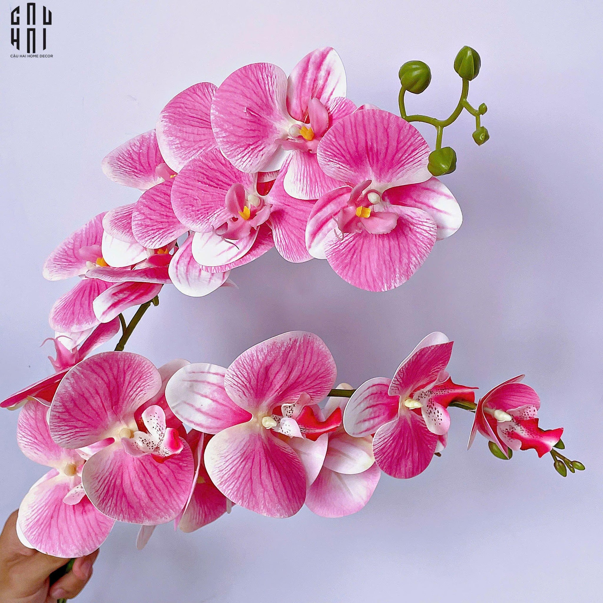 SET 2 CÀNH LAN HỒ ĐIỆP BLISS ORCHIDS - HỒNG PHẤN-CẬU HAI HOME DECOR