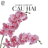 Set 2 Cành Lan Hồ Điệp Cánh Xoăn - Hồng - CẬU HAI HOME DECOR