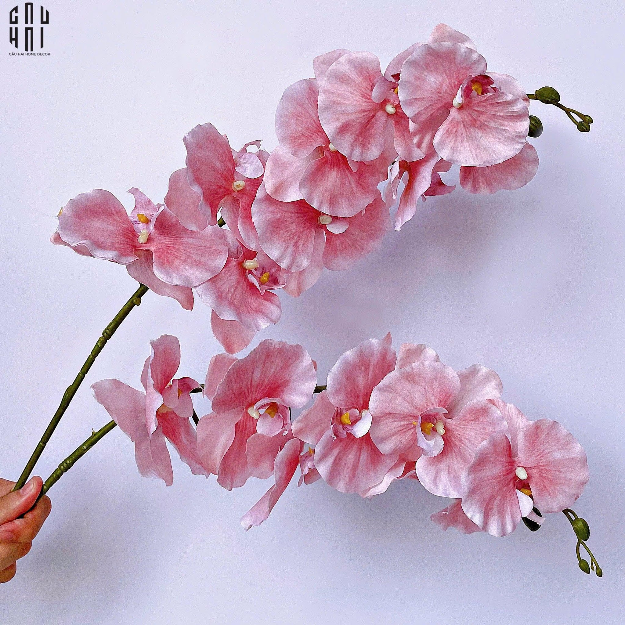 Set 2 Cành Lan Hồ Điệp Cánh Xoăn - Hồng-CẬU HAI HOME DECOR